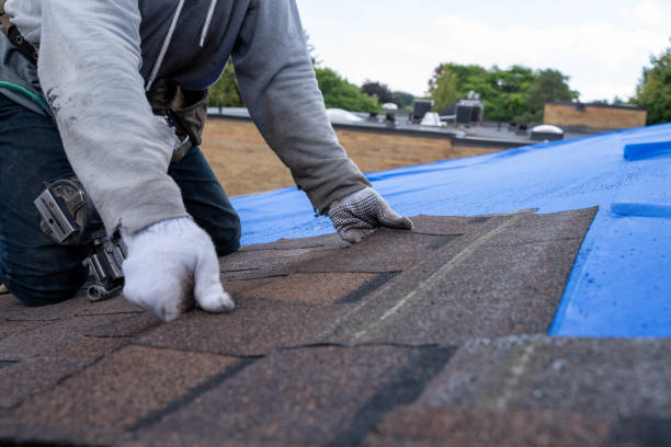 Best Emergency Roof Repair  in Lake City, AR