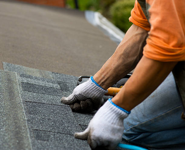 Best Roof Gutter Cleaning  in Lake City, AR